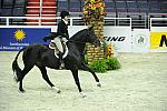 WIHS-10-25-11-Cl186B-DSC_8159-Zeven-HannahSuh-DDeRosaPhoto.JPG