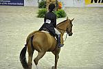 WIHS-10-25-11-Cl186ChHtrCH-0548-BillyElliot-AoifeMagner-DDeRosaPhoto.JPG