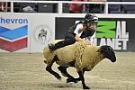 MuttonBusting-WIHS-10-27-11-2813-DDeRosaPhoto