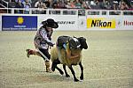 MuttonBusting-WIHS3-10-27-11-2588-DDeRosaPhoto