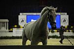 WIHS-0116-DDeRosaPhoto