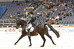 08-WIHS-AshleyHolzer-Gambol-Dressage-10-27-05-DDPhoto.JPG