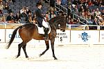 17-WIHS-CathyMorelli-BeSe-Dressage-10-27-05-DDPhoto.JPG