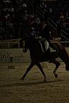 41-WIHS-HeatherBlitz-Arabella-Dressage-10-27-05-DDPhoto.JPG