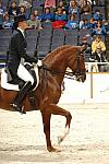 43-WIHS-HeatherBlitz-Arabella-Dressage-10-27-05-DDPhoto.JPG