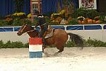 27-WIHS-JudyMerola-10-28-05-BarrelRacing-DDPhoto.JPG