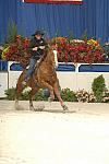 30-WIHS-CarolKersteter-10-28-05-BarrelRacing-DDPhoto.JPG