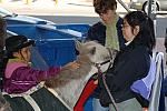 019-WIHS-PonyPavilion-10-29-05-DDPhoto.JPG