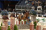 059-WIHS-MariaSchaub-Amigo-10-29-05-EqClassicJpr-182-DDPhoto.JPG