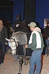 018-WIHS-10-30-05-DDPhoto.JPG