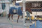 073-WIHS-10-30-05-DDPhoto.JPG