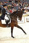 23-WIHS-CathyMorelli-BeSe-Dressage-DDPhoto.JPG