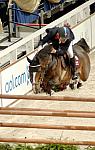 217-WIHS-MichaelWhitaker-Mozart-10-29-05-Mozart-Whitaker-DDPhoto.JPG
