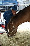 1166-WIHS-10-28-06-&copy;DeRosaPhoto.JPG