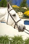 510-WIHS-10-25-06-&copy;DeRosaPhoto.JPG