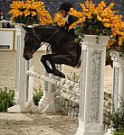 363-ElainaPlott-KeyLargo-WIHS-10-29-06-&copy;DeRosaPhoto.JPG