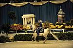 10-24-08-WIHS-420-DeRosaPhoto.jpg