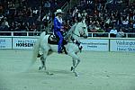 10-24-08-WIHS-424-DeRosaPhoto.jpg