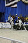 10-24-08-WIHS-463-DeRosaPhoto.jpg