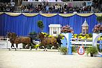 10-24-08-WIHS-764-DeRosaPhoto.jpg