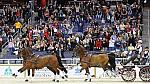 ChesterWeber-Jamaica-10-24-08-WIHS-767-DeRosaPhoto