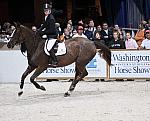 McLainWard-Sapphire-DSC_2798.jpg
