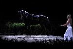 10-24-08-WIHS-896-DeRosaPhoto.jpg