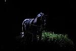 10-24-08-WIHS-899-DeRosaPhoto.jpg