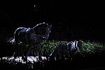 10-24-08-WIHS-978-DeRosaPhoto.jpg