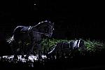 10-24-08-WIHS-979-DeRosaPhoto.jpg