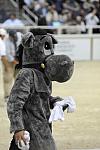 10-24-08-WIHS-1019-DeRosaPhoto.jpg