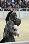 10-24-08-WIHS-1022-DeRosaPhoto.jpg