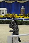 10-24-08-WIHS-1023-DeRosaPhoto.jpg