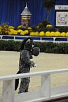 10-24-08-WIHS-1025-DeRosaPhoto.jpg