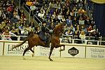 10-24-08-WIHS-511-DeRosaPhoto.jpg