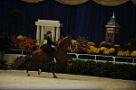 10-24-08-WIHS-514-DeRosaPhoto.jpg