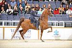 10-24-08-WIHS-523-DeRosaPhoto.jpg