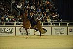10-24-08-WIHS-542-DeRosaPhoto.jpg