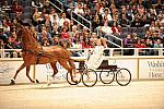 10-24-08-WIHS-550-DeRosaPhoto.jpg