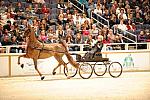 10-24-08-WIHS-554-DeRosaPhoto.jpg