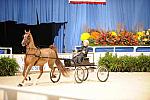 10-24-08-WIHS-556-DeRosaPhoto.jpg
