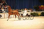 10-24-08-WIHS-557-DeRosaPhoto.jpg