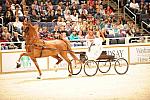 10-24-08-WIHS-563-DeRosaPhoto.jpg