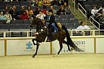 10-24-08-WIHS-588-DeRosaPhoto.jpg