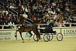 10-24-08-WIHS-601-DeRosaPhoto.jpg
