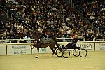 10-24-08-WIHS-623-DeRosaPhoto.jpg