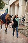 WIHS08-10-25-Setup-277-DDeRosaPhoto
