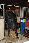 WIHS08-10-25-Setup-293-DDeRosaPhoto