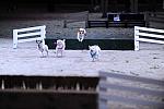 10-24-08-WIHS-1089-DeRosaPhoto.jpg