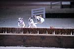 10-24-08-WIHS-1116-DeRosaPhoto.jpg